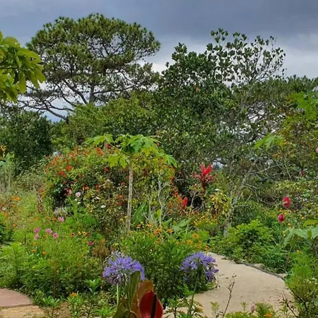 Romantic House 2 On A Pine Hill Dalat Exterior photo