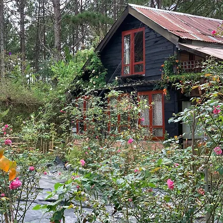 Romantic House 2 On A Pine Hill Dalat Exterior photo