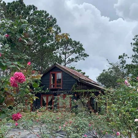 Romantic House 2 On A Pine Hill Dalat Exterior photo