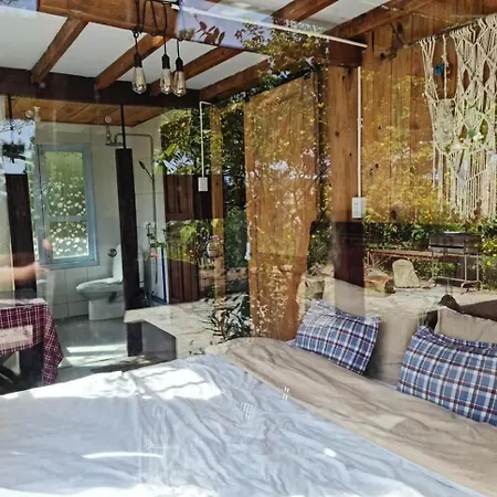 Romantic House 2 On A Pine Hill Dalat Exterior photo