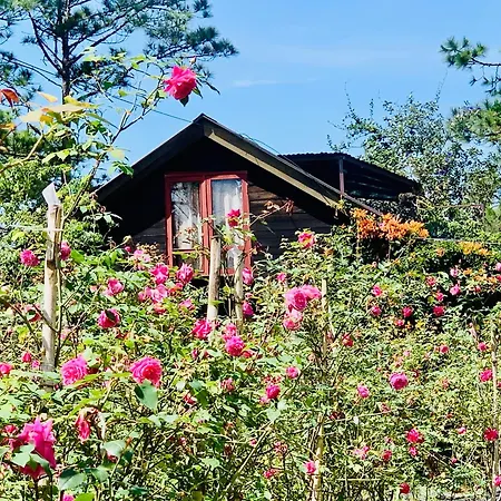 Romantic House 2 On A Pine Hill Dalat Exterior photo