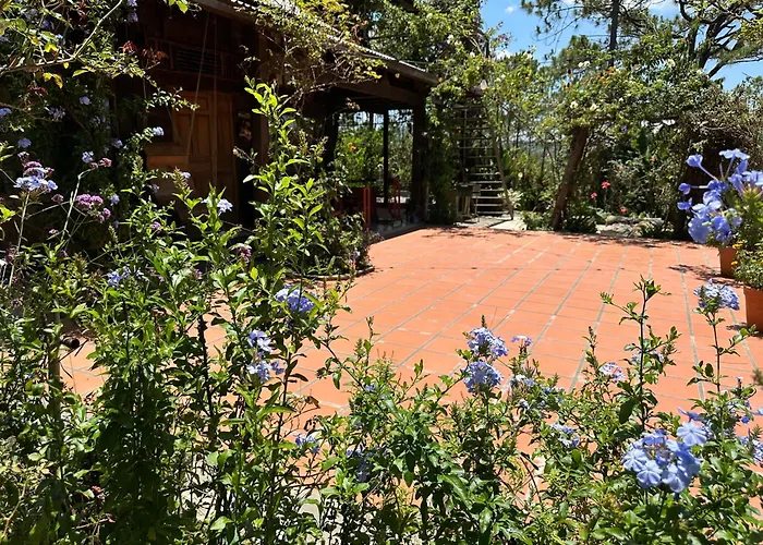 Romantic House 2 On A Pine Hill Dalat