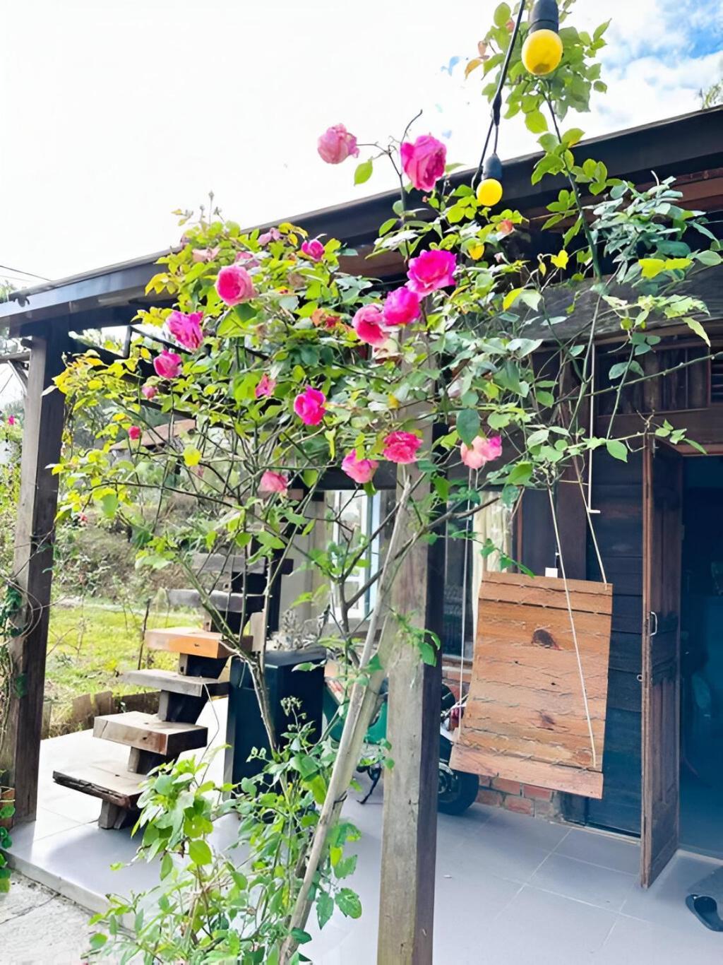 Chalet Romantic House 2 On A Pine Hill *