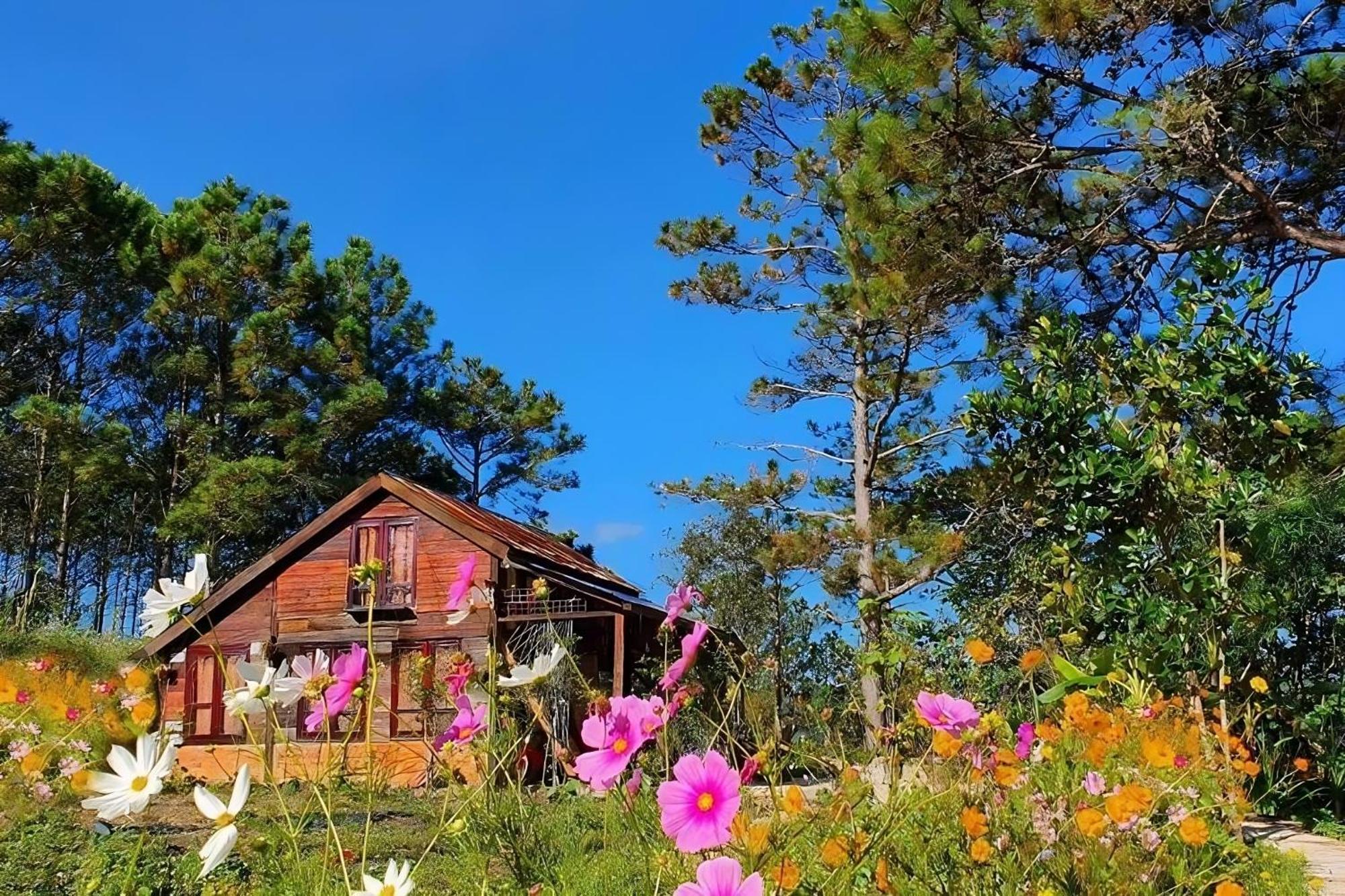 Chalet Romantic House 2 On A Pine Hill