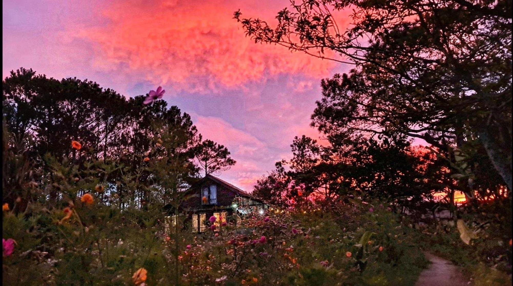 Romantic House 2 On A Pine Hill Da Lat