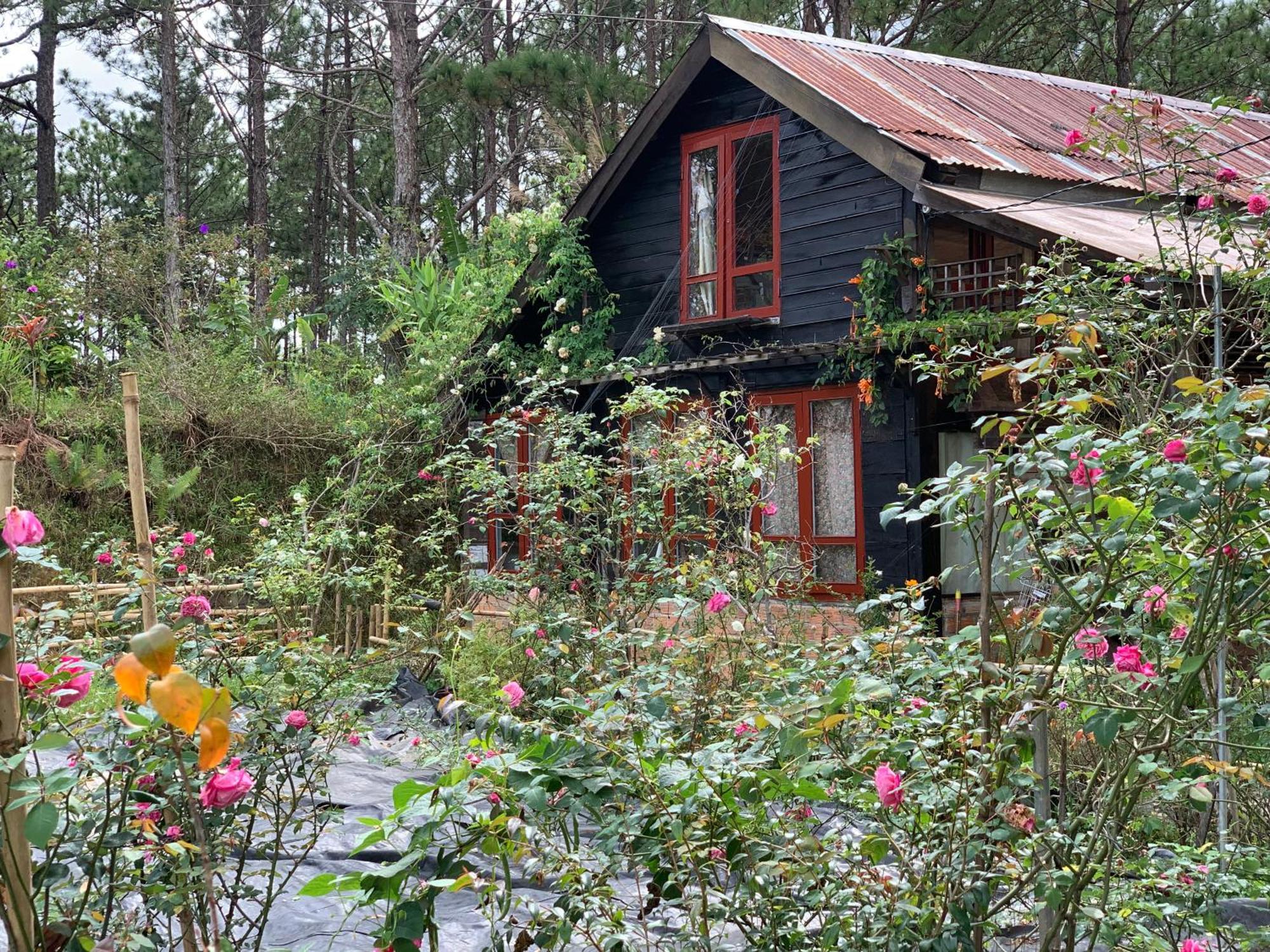 Romantic House 2 On A Pine Hill Chalet *