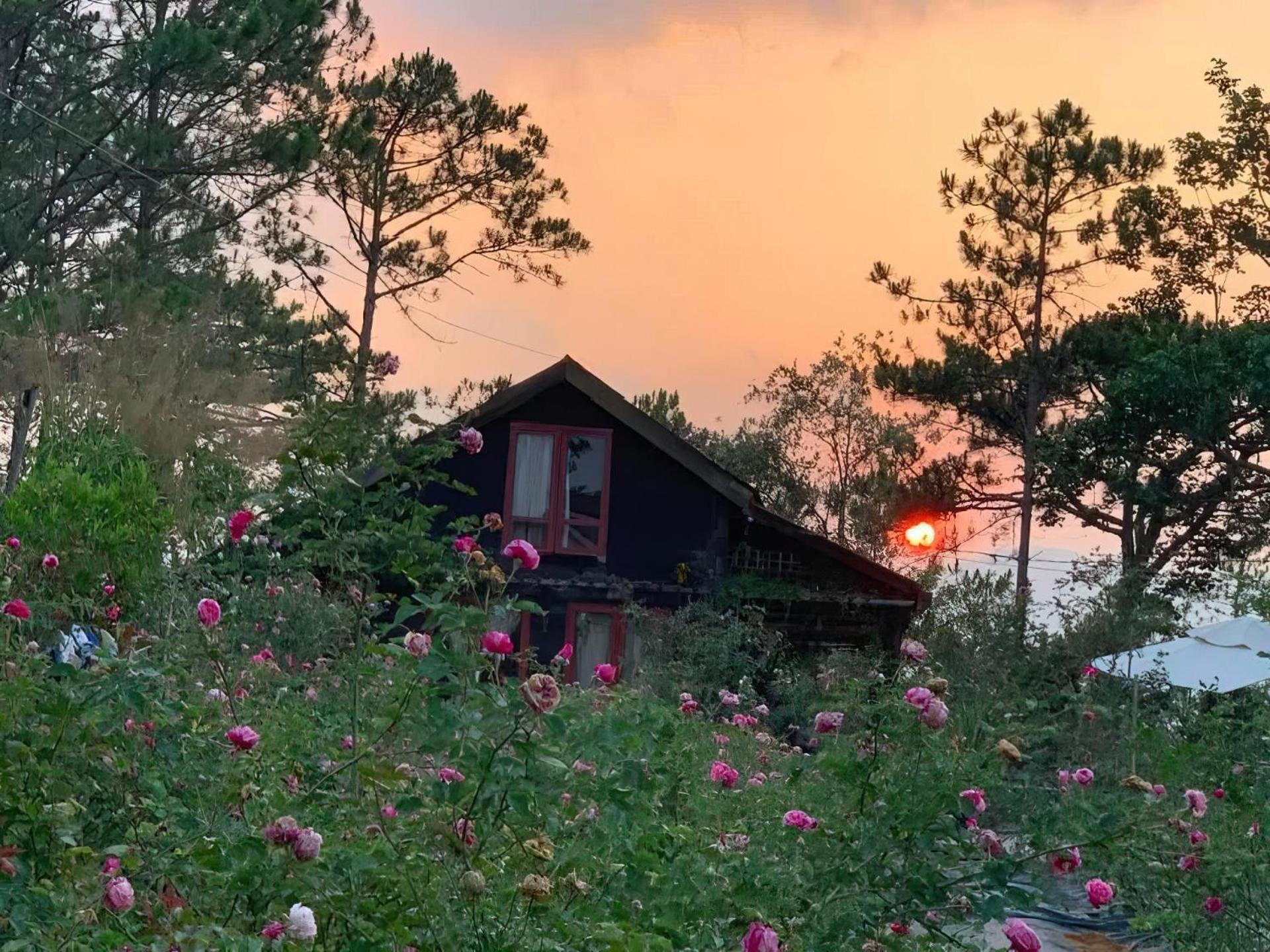 Romantic House 2 On A Pine Hill * Da Lat