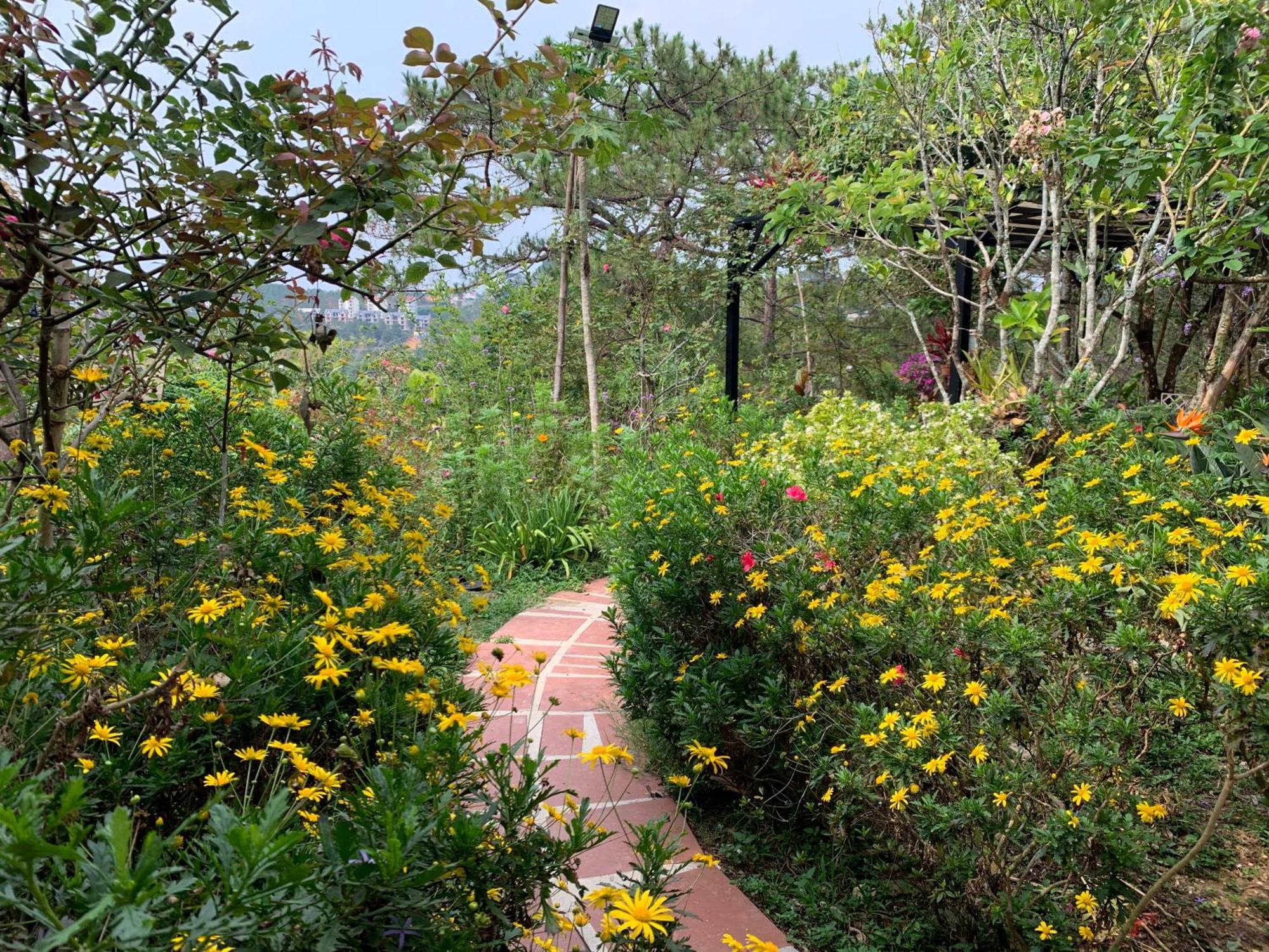 Romantic House 2 On A Pine Hill Da Lat