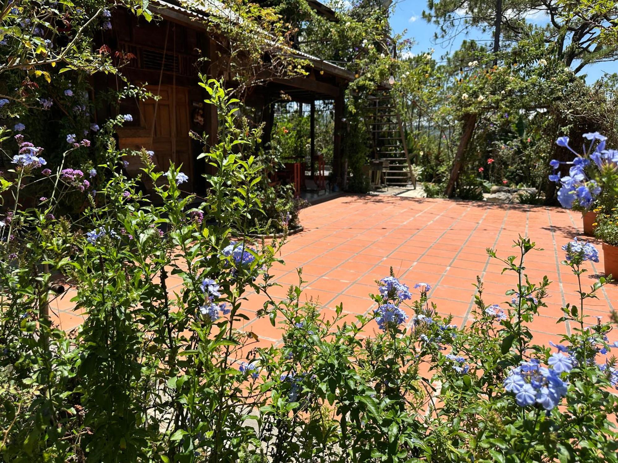 Chalet Romantic House 2 On A Pine Hill Da Lat
